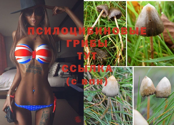 дживик Армянск