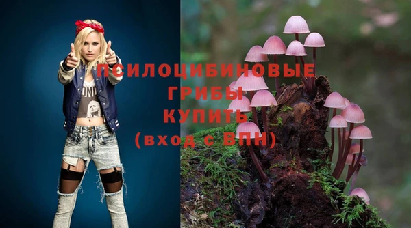 дживик Армянск